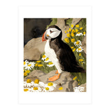 Puffin (Print Only) thumbnail