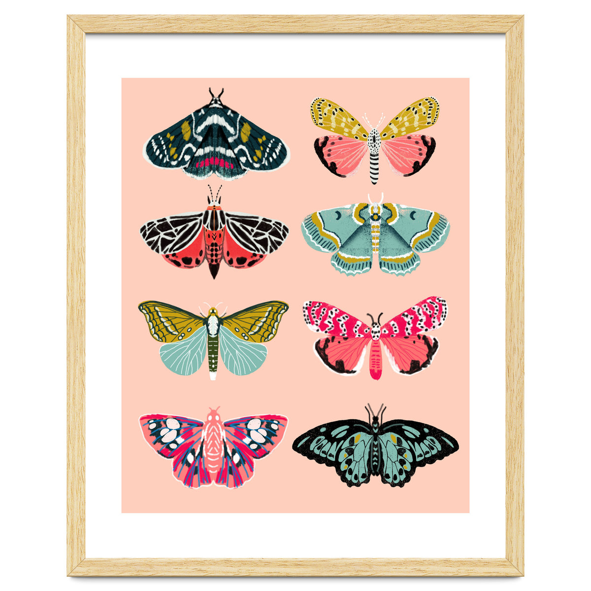 Lepidoptery No. 1