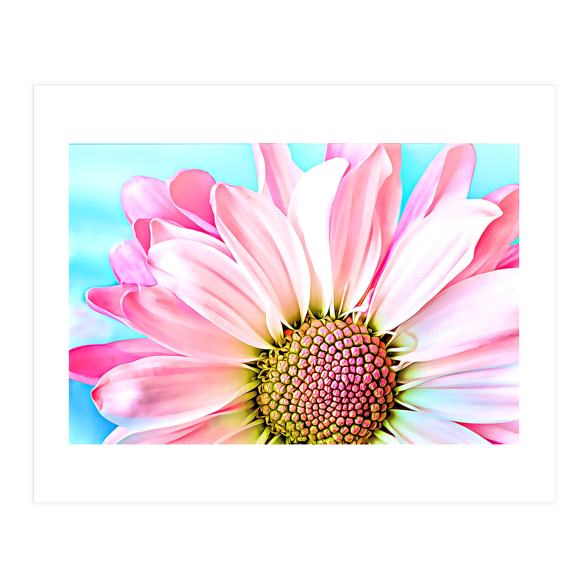 PInk Dahlia (Print Only)