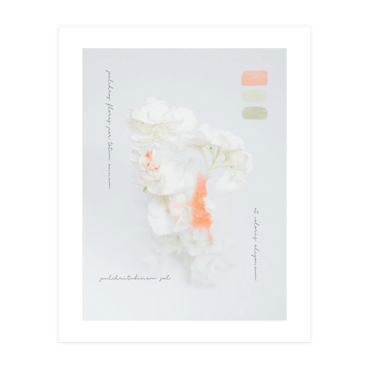 Modern Vintage Botanic (Print Only)