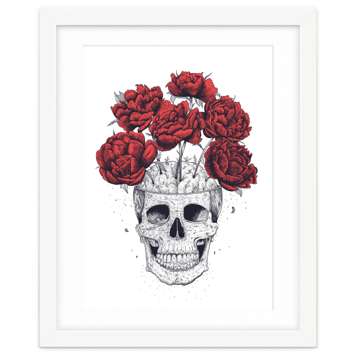 Skull With Peonies