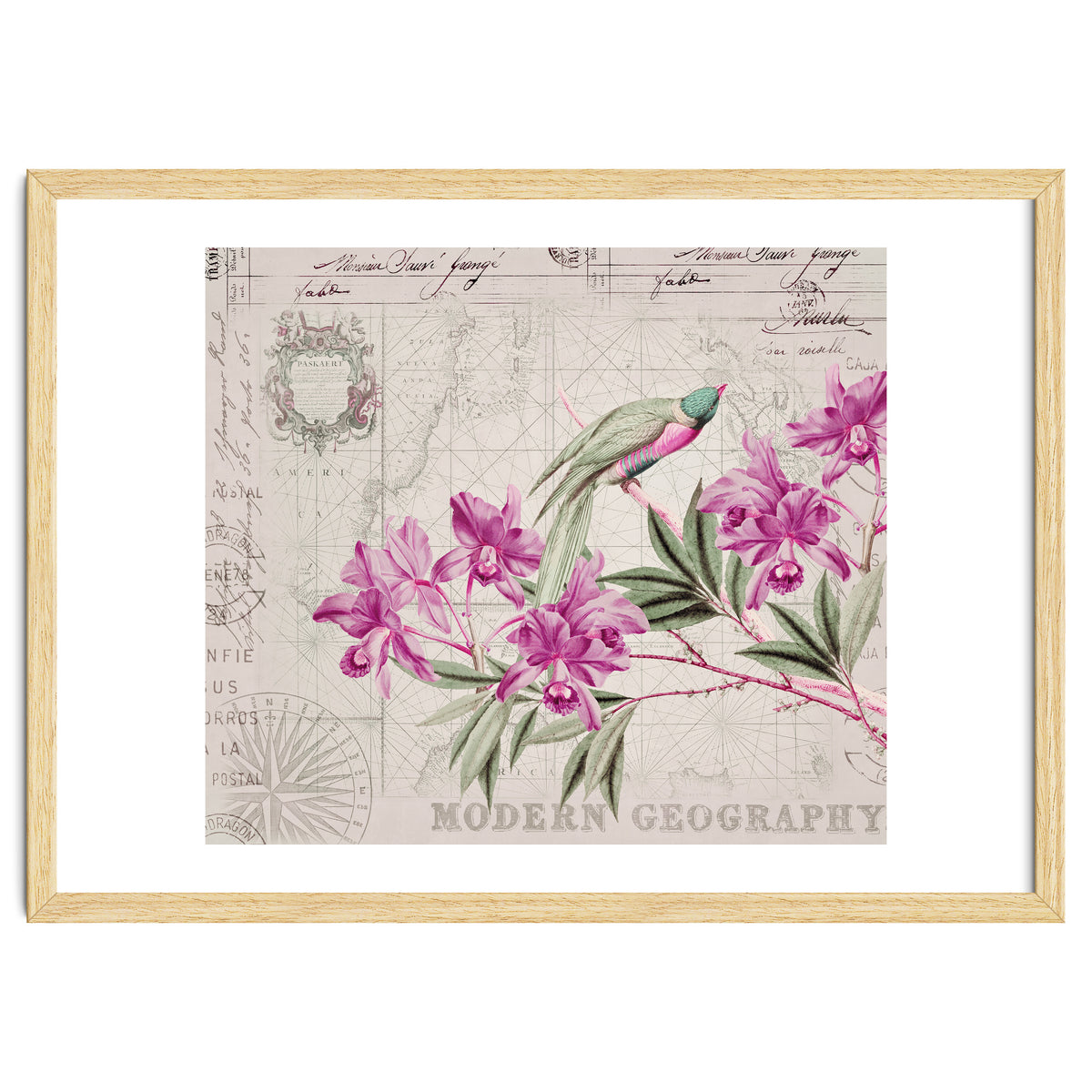 The Birds Voyage Of Discovery