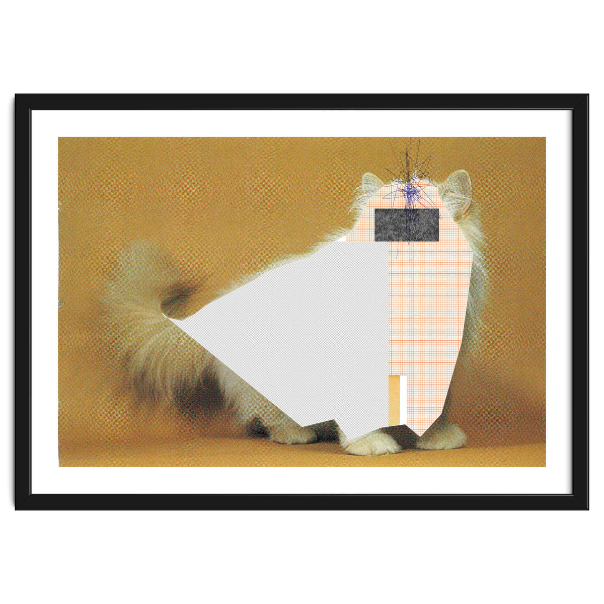 Content Of The Cat 1