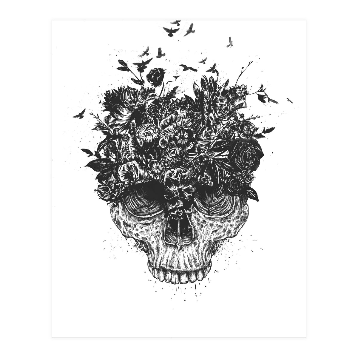My Head Is A Jungle Bw (Print Only)