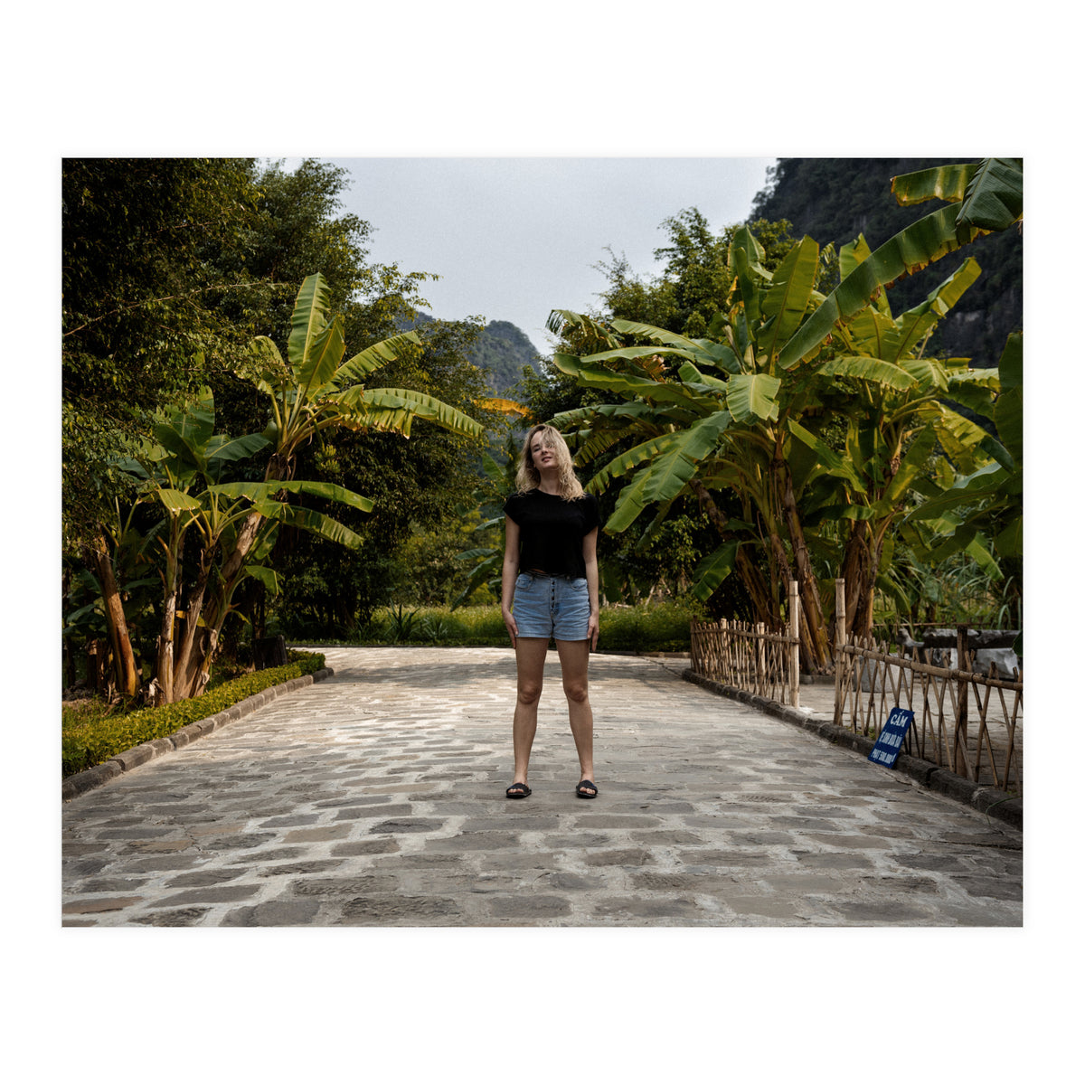 Spiritual Journey (Print Only)