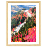 Valley of Pink Trees | Fantasy Pop of Color Forest Nature | Jungle Adventure Road Trip Pine thumbnail
