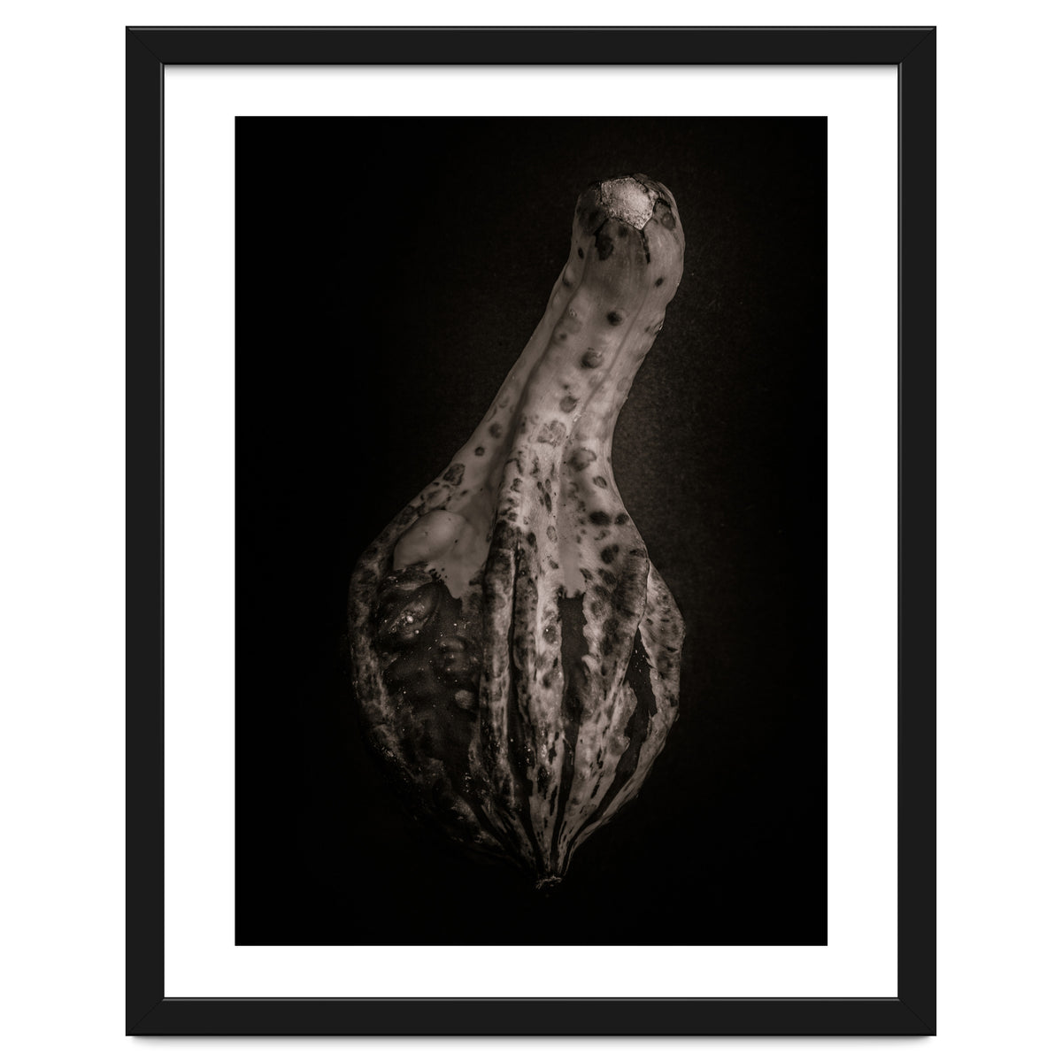 Gourds No 3