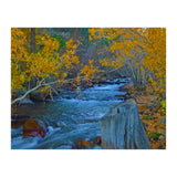 Nature (Print Only) thumbnail