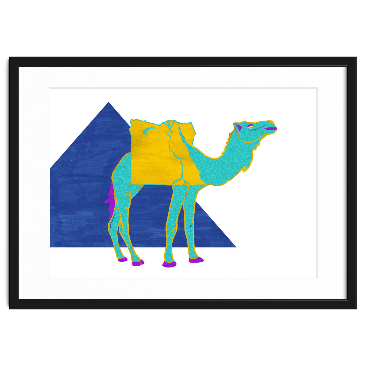 Egyptian Dromedary