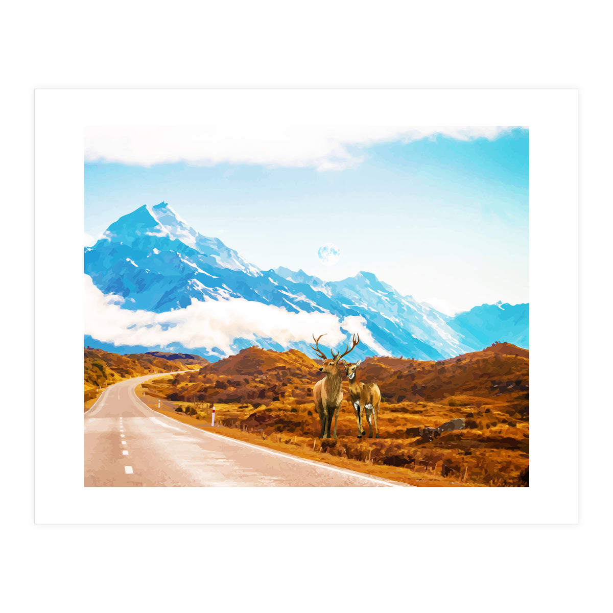 Wildlife (Print Only)