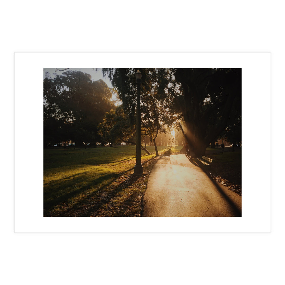 The Panhandle (Print Only)