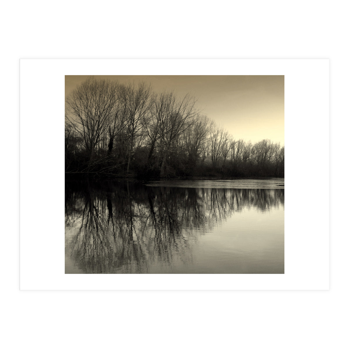 Winter Symettery  (Print Only)