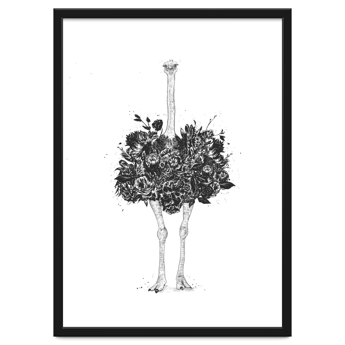 Floral Ostrich