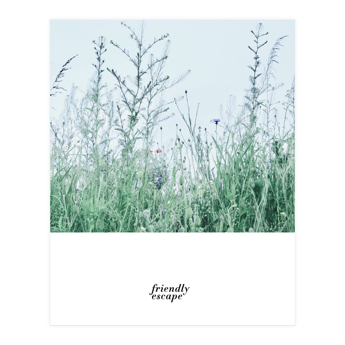 Friendly escape - Nature Photography - (Print Only)