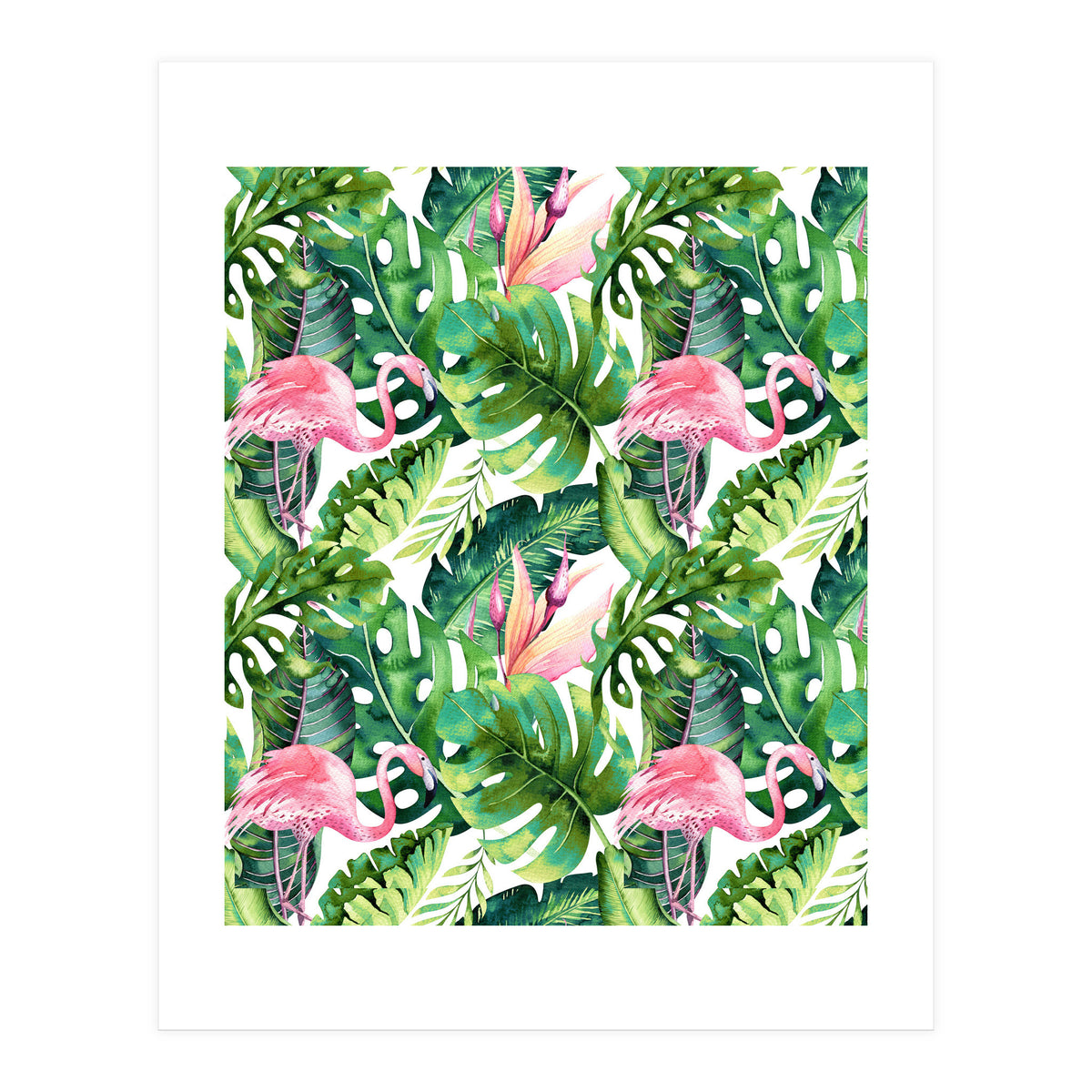 Flamingo Tropical II (Print Only)