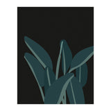 Bird Of Paradise (Print Only) thumbnail