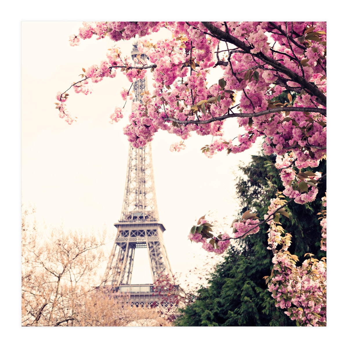 Paris in the Spring (Print Only)
