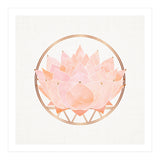 Peach Succulent  Blossom (Print Only) thumbnail