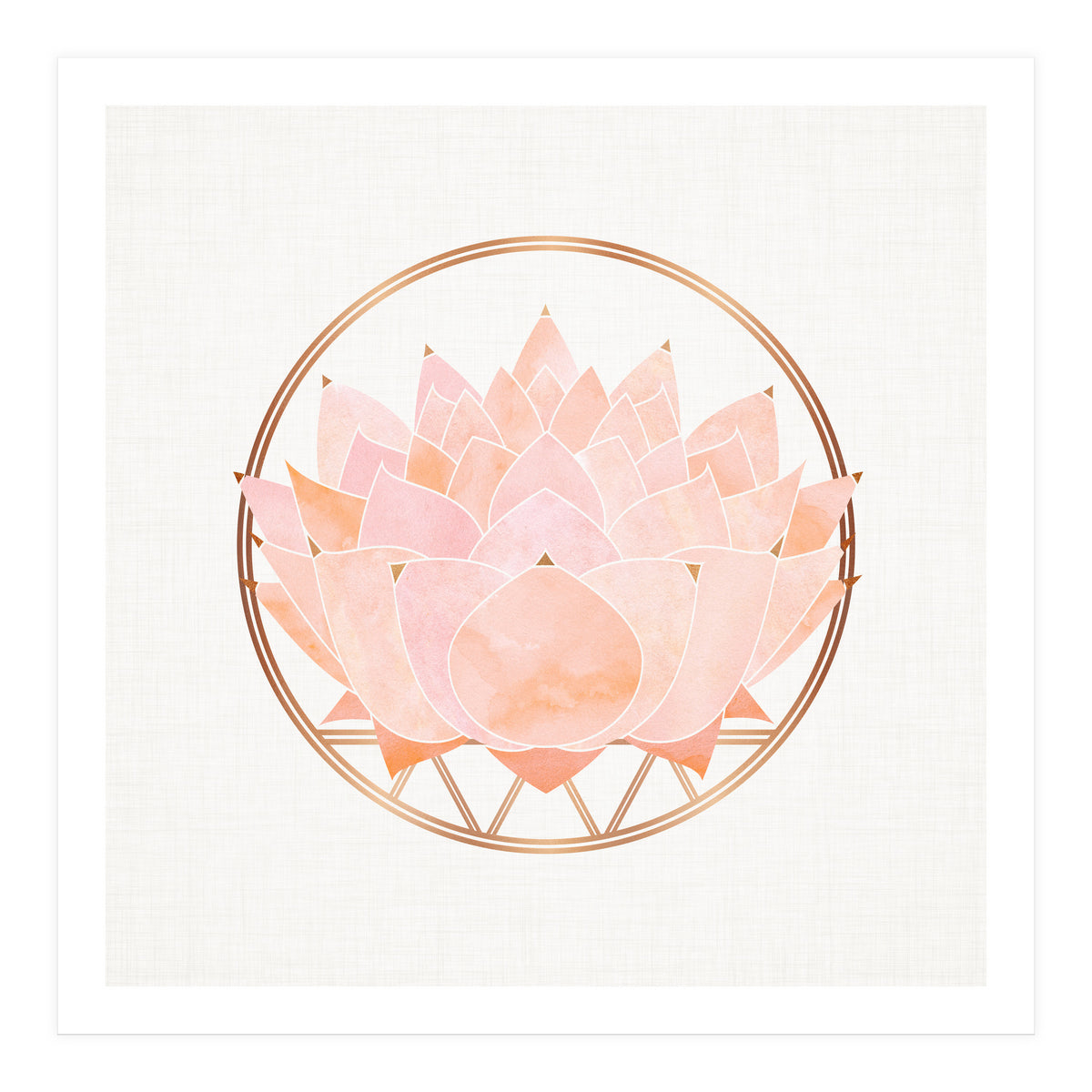 Peach Succulent  Blossom (Print Only)