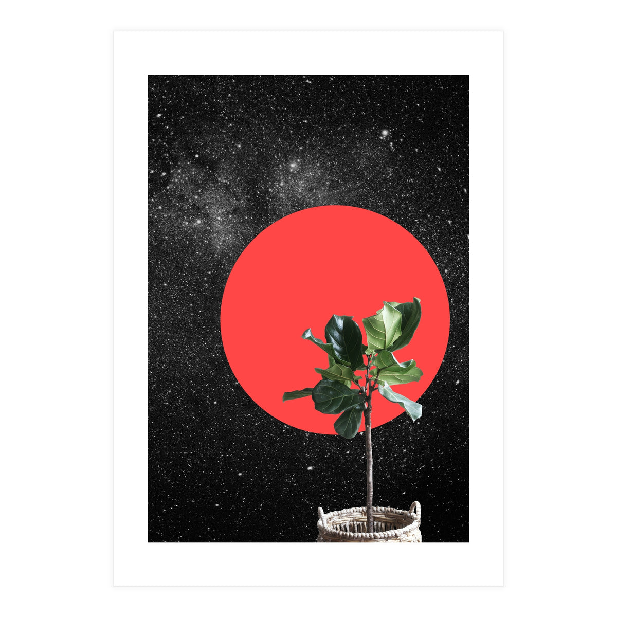 "Bonsai" - Digital Collage (Print Only)