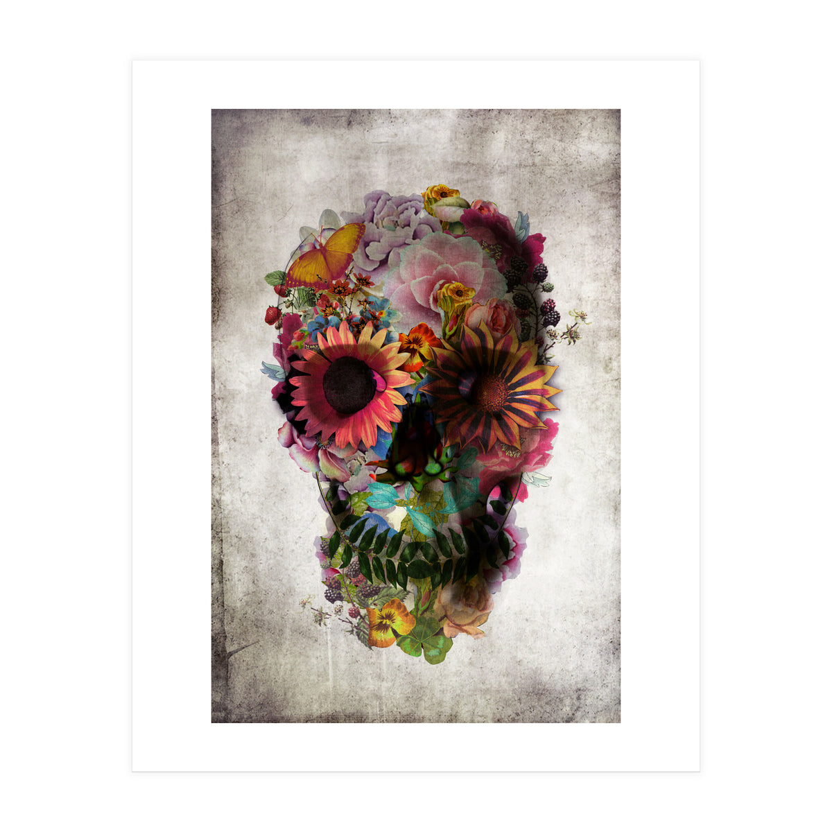 Skull (Print Only)
