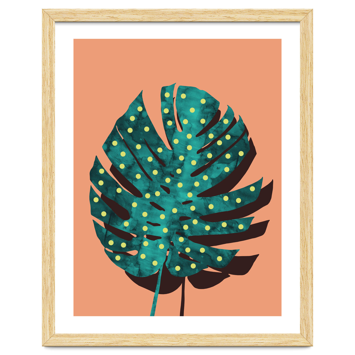 Monstera Deliciosa IV