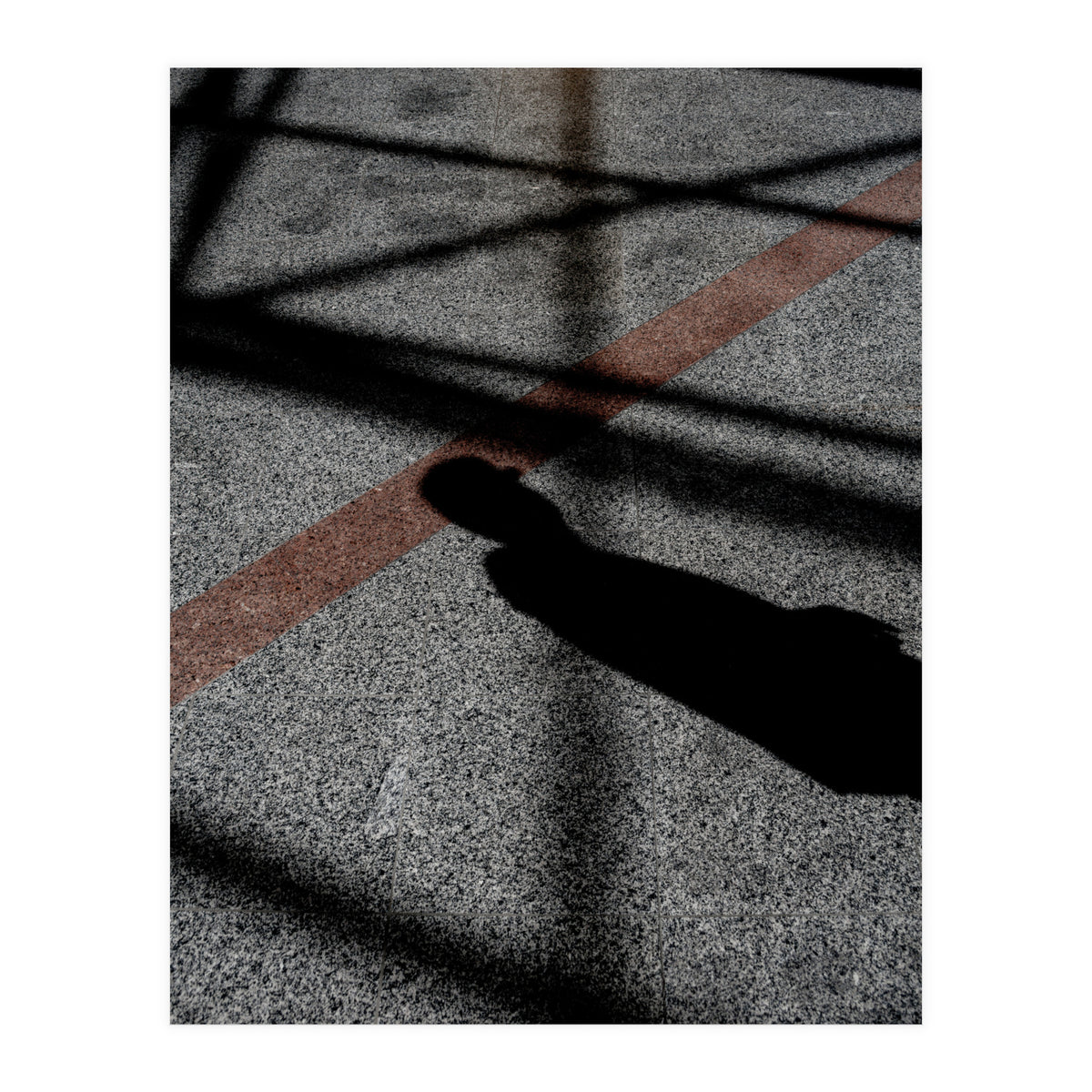 Urban #8 (Print Only)