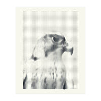 Hawk 2018 (Print Only)