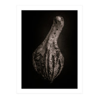 Gourds No 3 (Print Only)