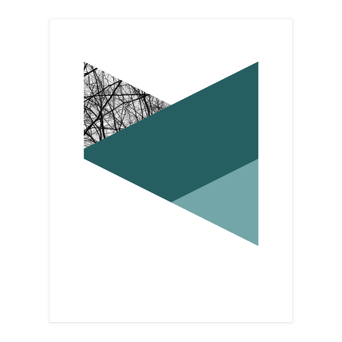 TRIWOOD I (Print Only)