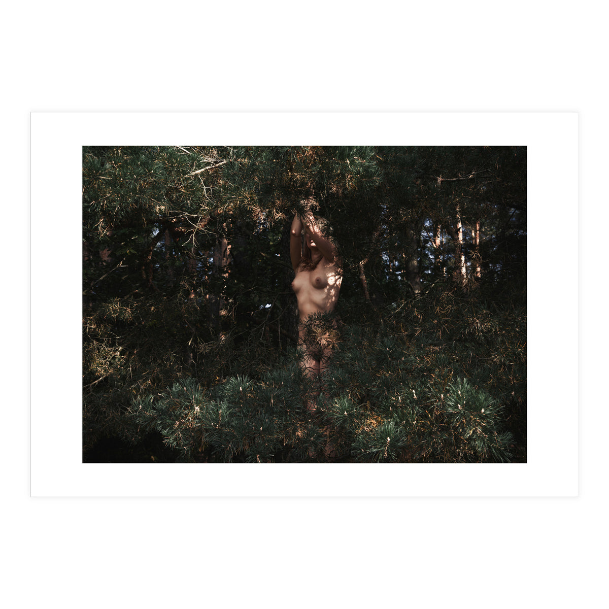 Wild Wild Woods (Print Only)