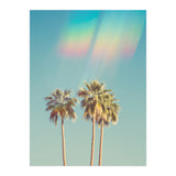 Groovy California Palm Trees (Print Only) thumbnail