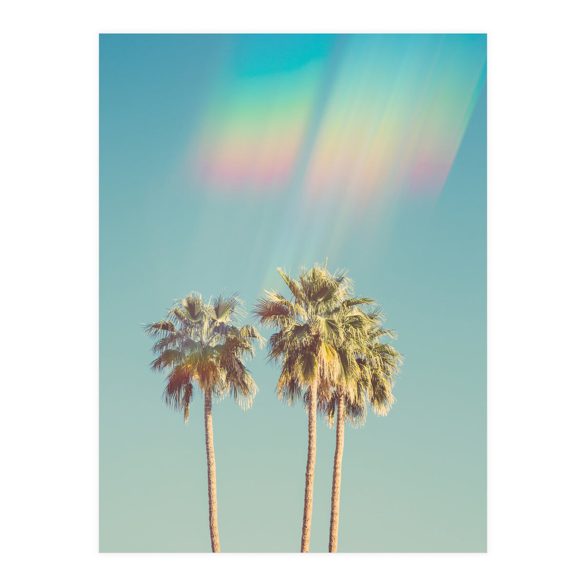 Groovy California Palm Trees (Print Only)