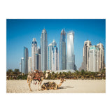 Camel (Print Only) thumbnail
