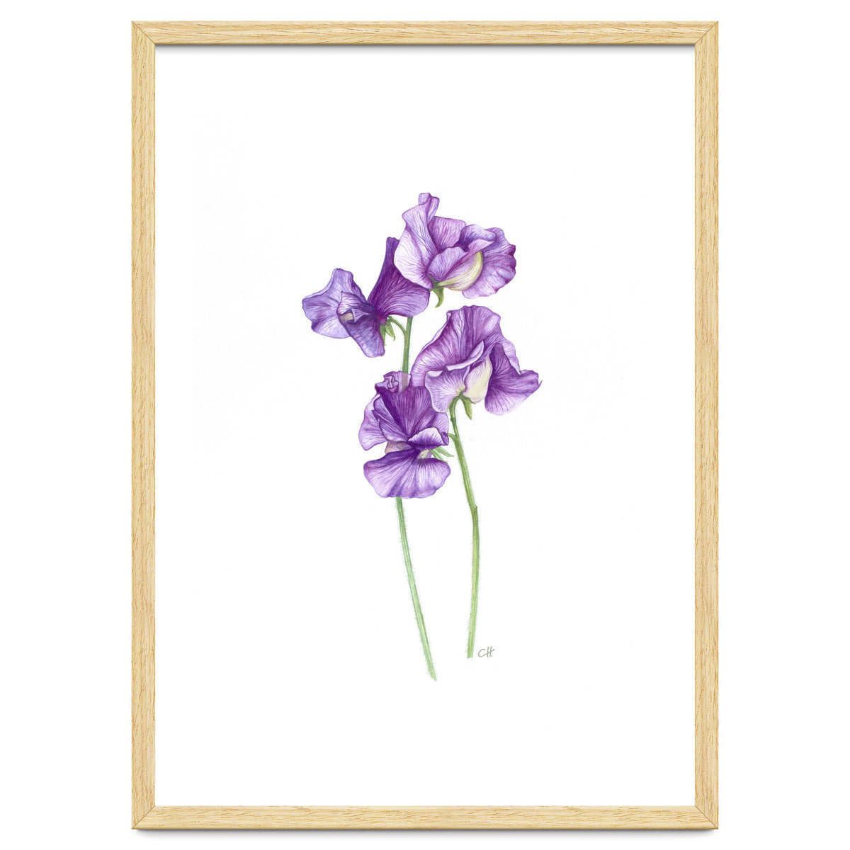 A Purple Posy Of Sweet Peas