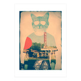 Cool Cat (Print Only) thumbnail