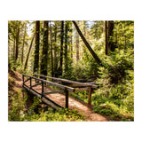 Ewoldsen Trail Bridge  (Print Only) thumbnail