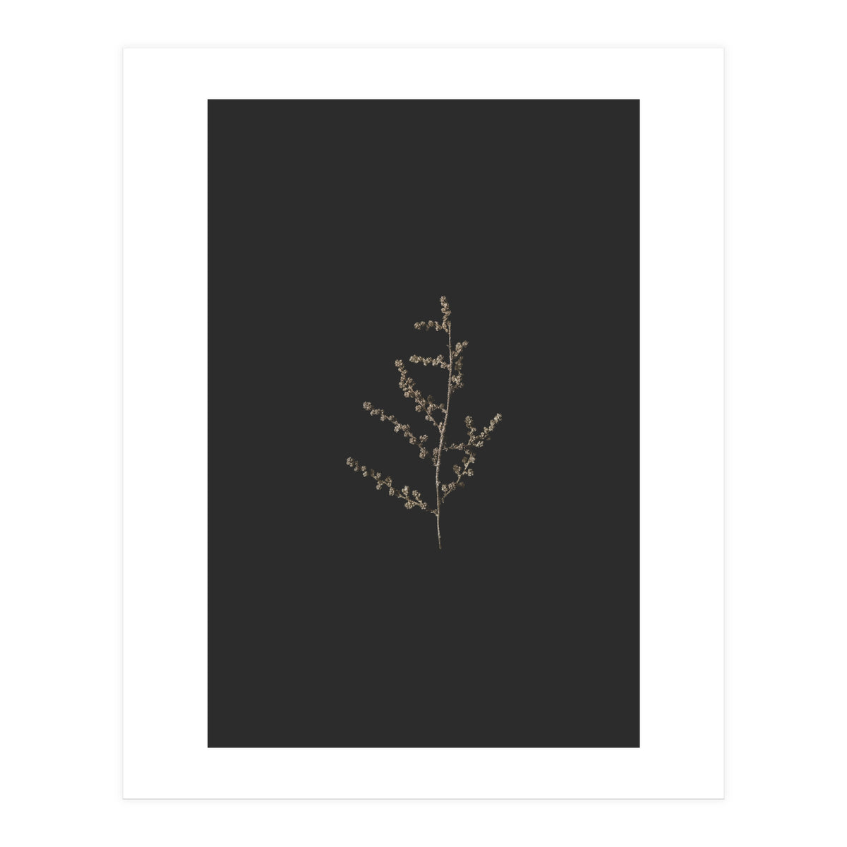 Dainty Botanicals in Gold and Black (Print Only)