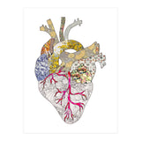 My Heart Is Real (Print Only) thumbnail