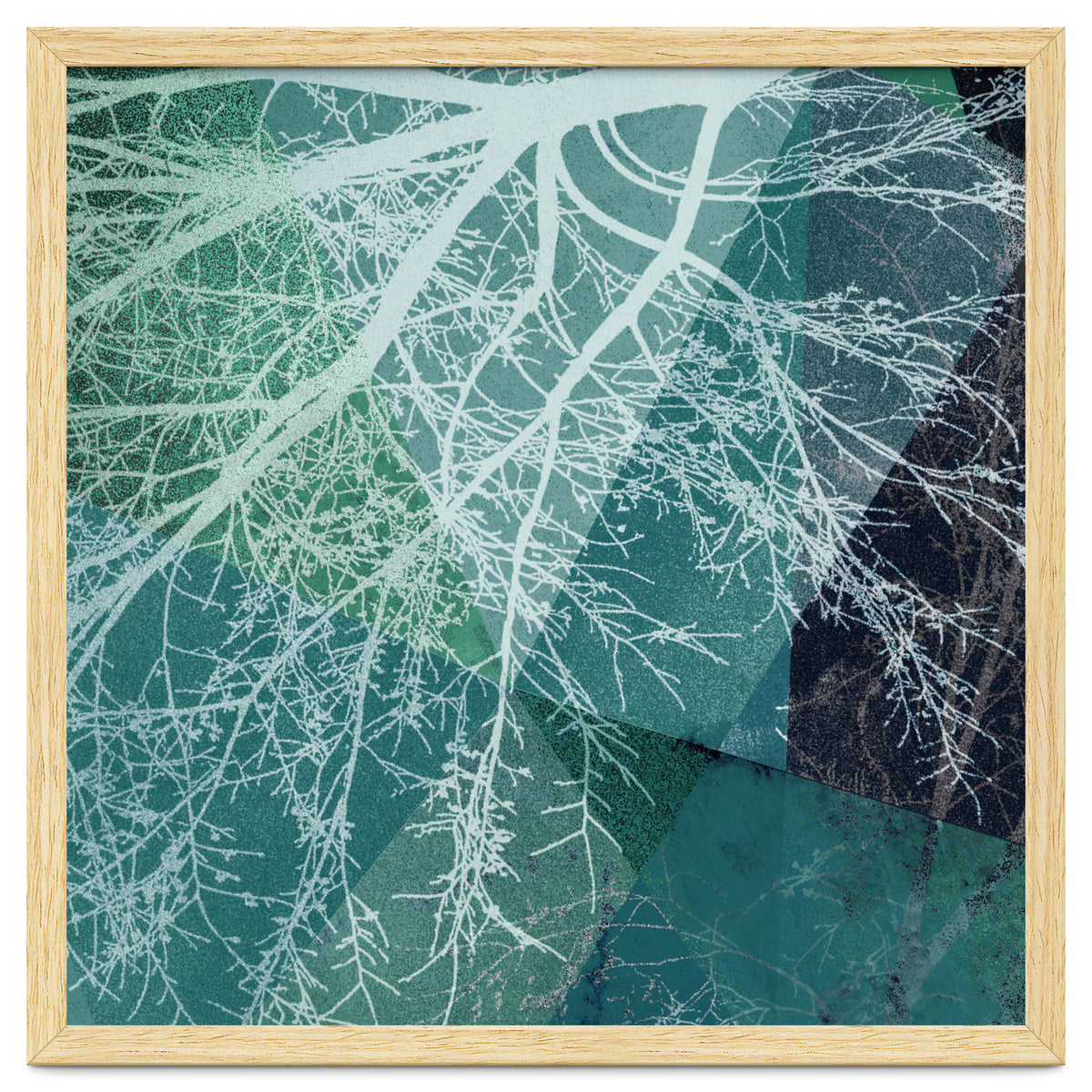 P19-E3 Trees and Triangles