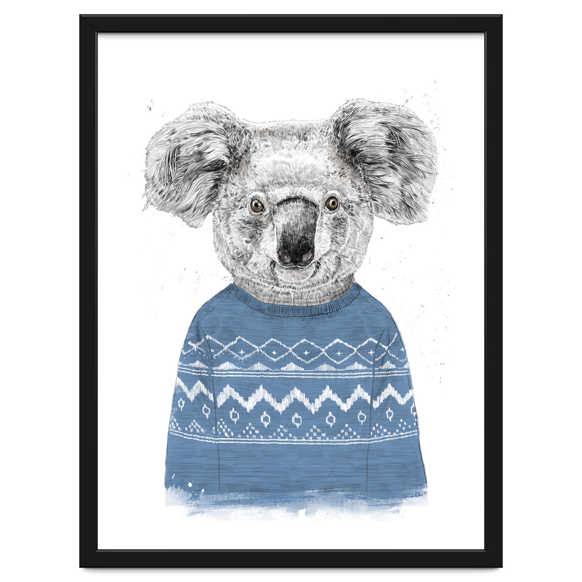 Winter Koala