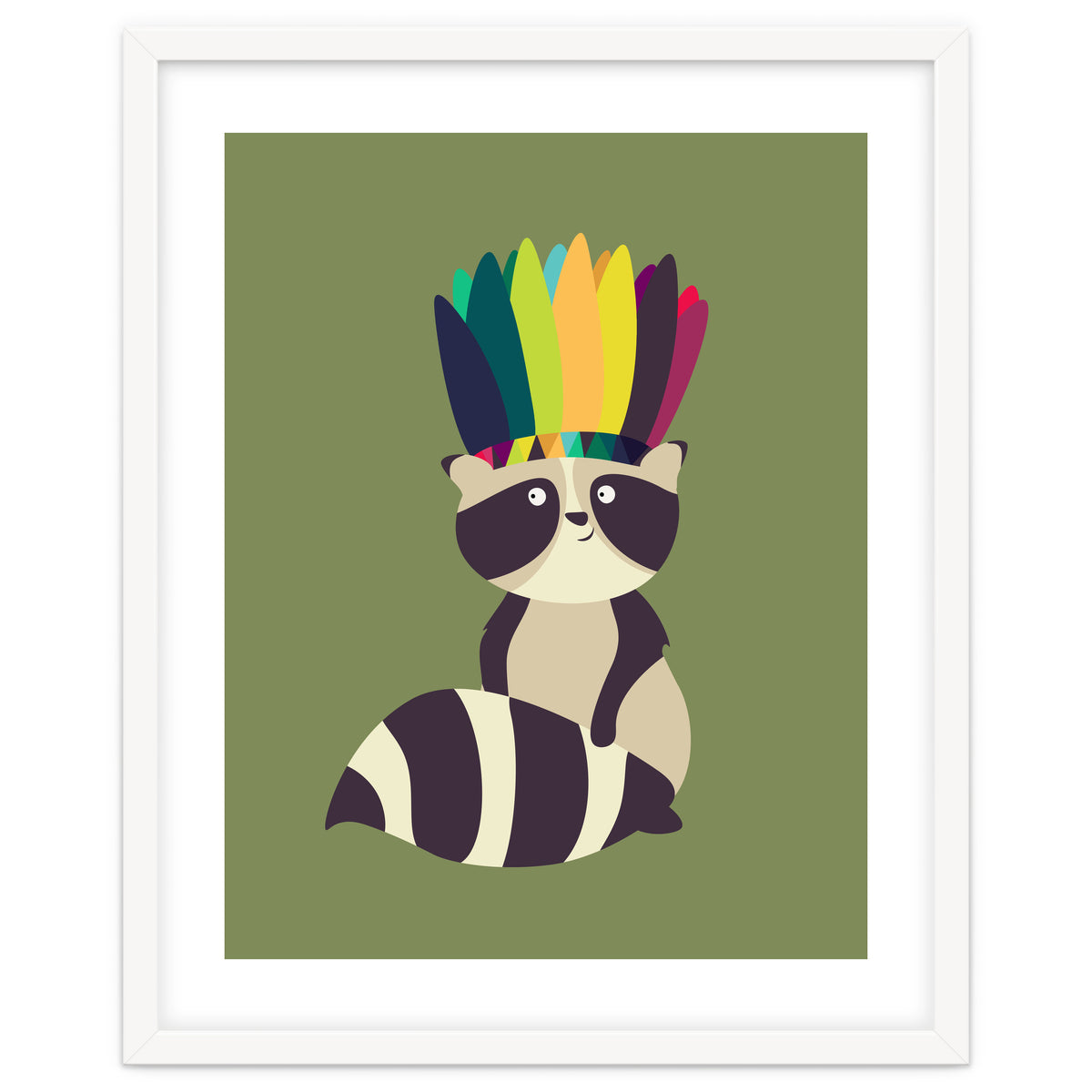 Indian Raccoon