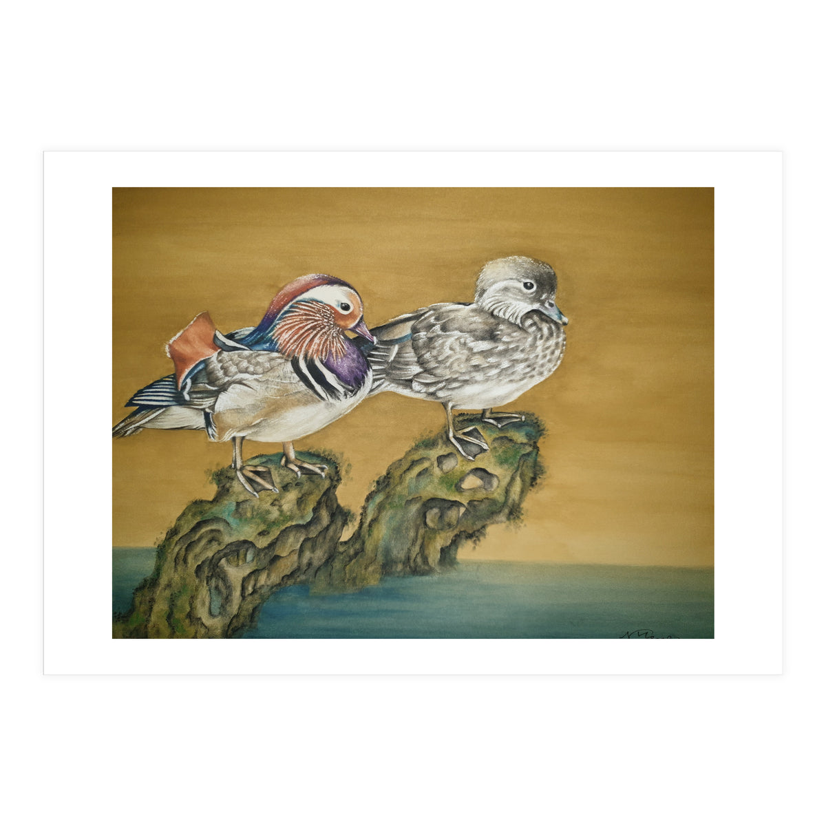 Mandarin Ducks (Print Only)