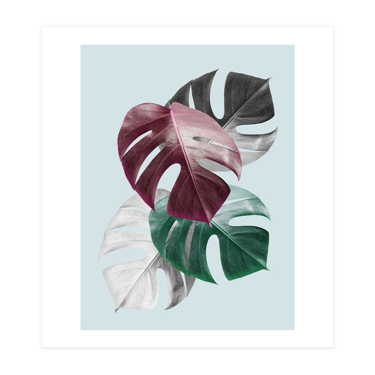 Tropical collage II (Print Only)