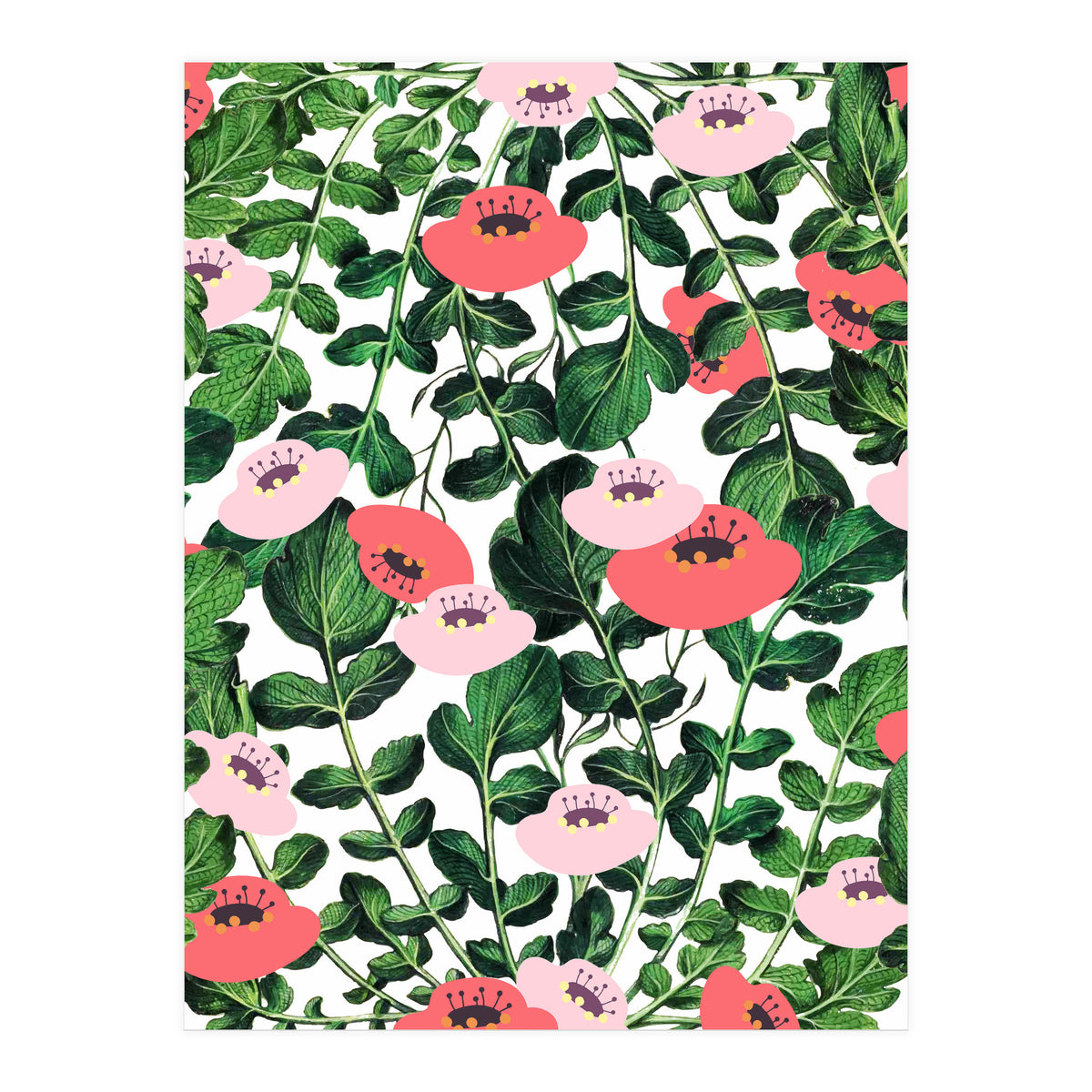 Parsnip & Poppies (Print Only)