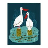 Pelicans (Print Only) thumbnail