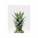 Pineapple Top (Print Only) thumbnail