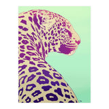 Leopard Under The Sun (Print Only) thumbnail
