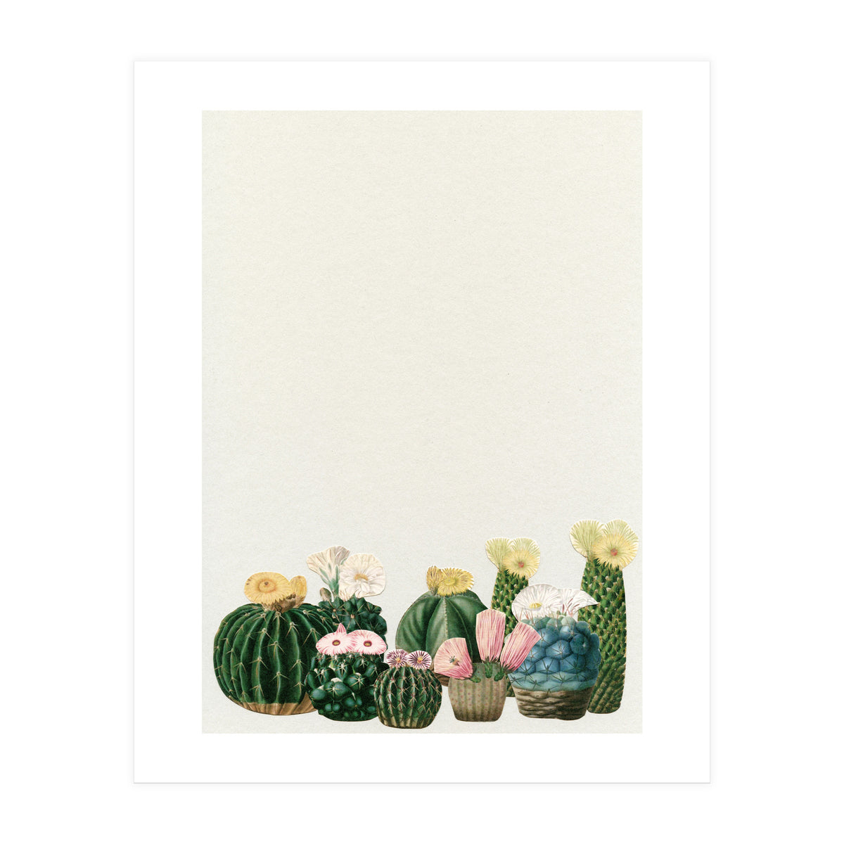 Cactus Garden (Print Only)
