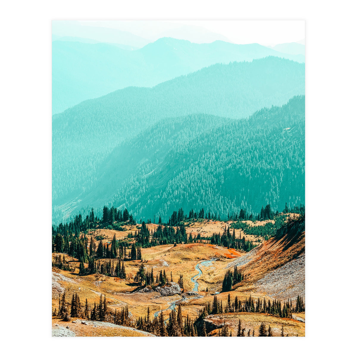 Delight Ii (Print Only)